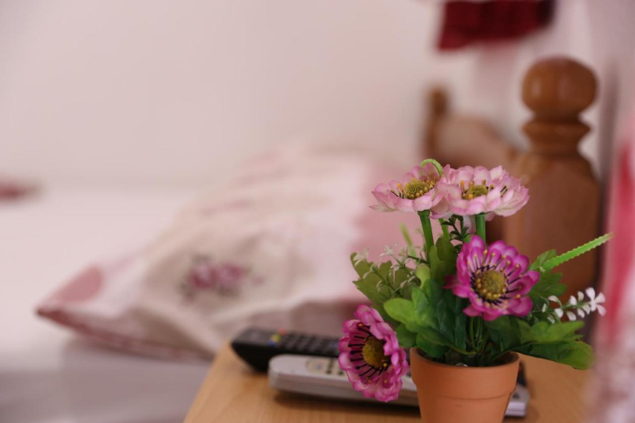 Friendly House Apartment Ulcinj Bagian luar foto